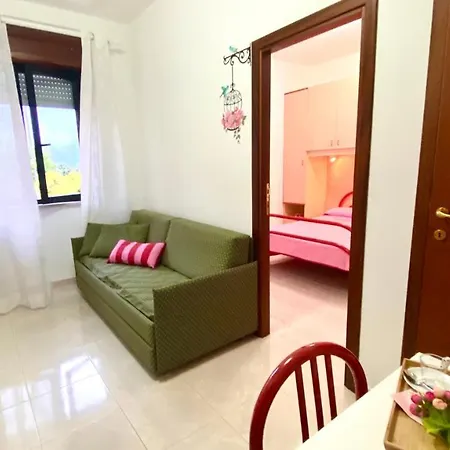 Belvedere رودي غارغانيكو