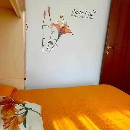 Belvedere رودي غارغانيكو